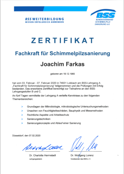 Zertifizierte Schimmelbeseitigung Kellersanierung Düsseldorf